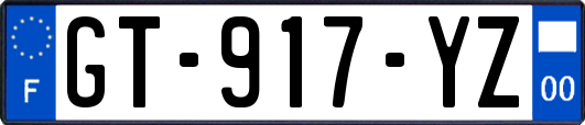 GT-917-YZ