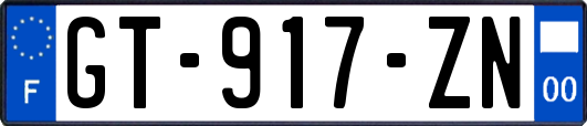 GT-917-ZN