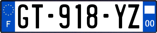 GT-918-YZ