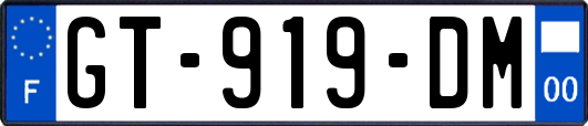 GT-919-DM