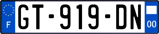 GT-919-DN