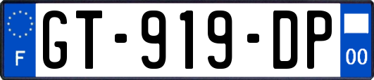 GT-919-DP