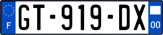 GT-919-DX