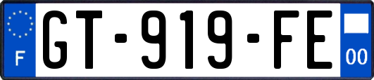 GT-919-FE