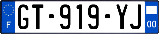 GT-919-YJ