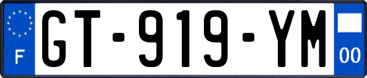 GT-919-YM