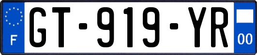 GT-919-YR