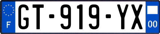 GT-919-YX