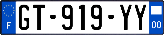 GT-919-YY