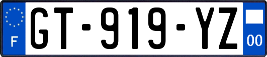 GT-919-YZ