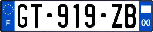 GT-919-ZB