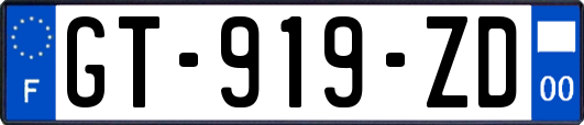 GT-919-ZD