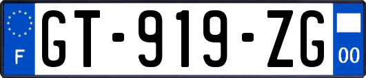 GT-919-ZG