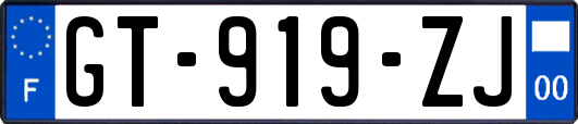 GT-919-ZJ
