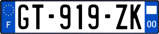 GT-919-ZK