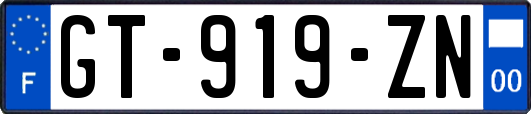 GT-919-ZN