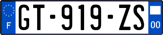 GT-919-ZS