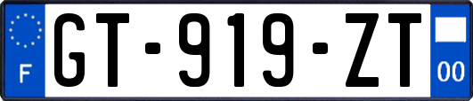 GT-919-ZT