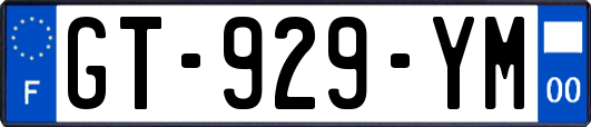 GT-929-YM