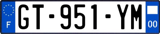 GT-951-YM