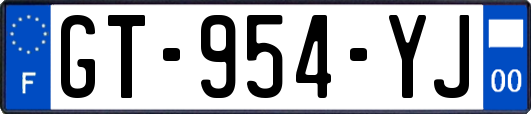 GT-954-YJ