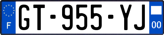 GT-955-YJ