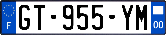 GT-955-YM