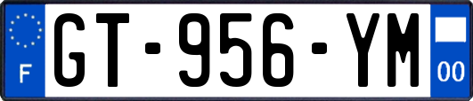 GT-956-YM