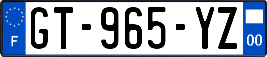 GT-965-YZ