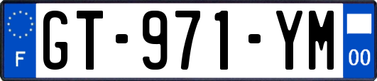 GT-971-YM