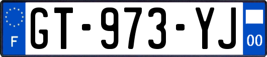 GT-973-YJ