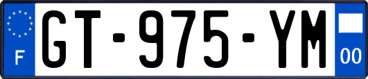 GT-975-YM