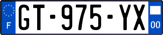 GT-975-YX
