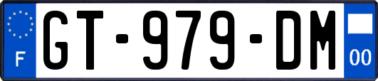 GT-979-DM