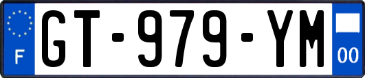 GT-979-YM