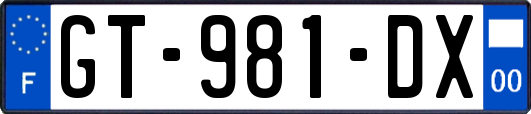 GT-981-DX