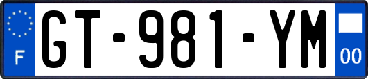 GT-981-YM