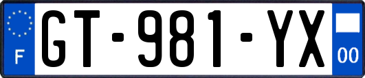 GT-981-YX