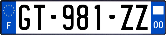 GT-981-ZZ