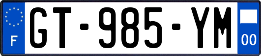 GT-985-YM
