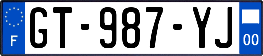 GT-987-YJ