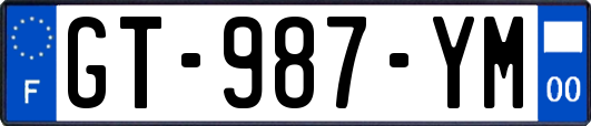GT-987-YM