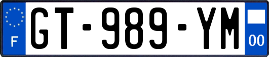 GT-989-YM