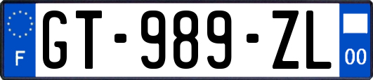 GT-989-ZL