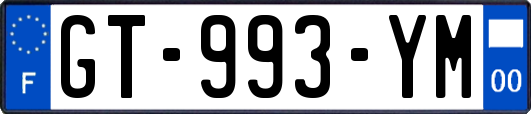 GT-993-YM
