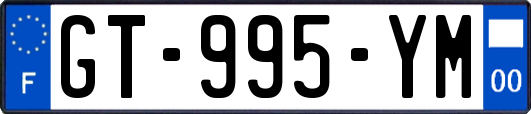 GT-995-YM