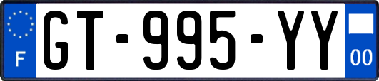 GT-995-YY