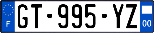 GT-995-YZ