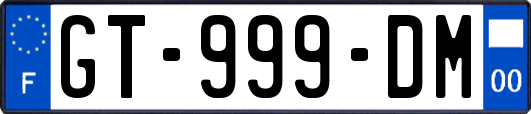 GT-999-DM