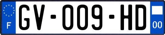 GV-009-HD